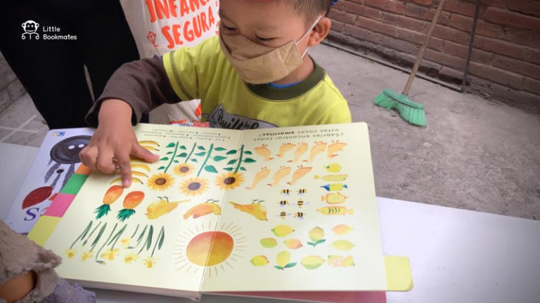 International Development Bank's Safety Childhood Programme