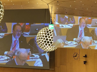 José Borghino, SCCR 37