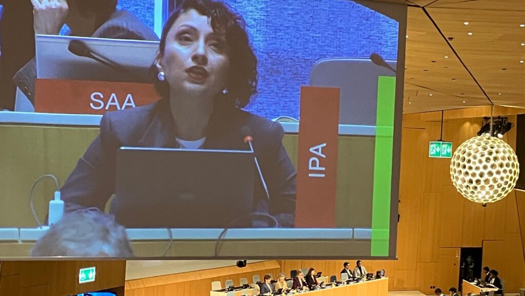 IPA President Gvantsa Jobava adressing WIPO SCCR46